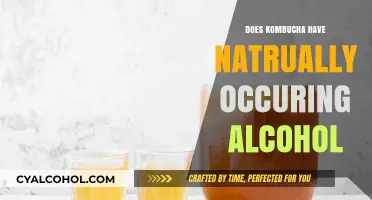 Kombucha's Natural Buzz: Exploring Its Naturally Occurring Alcohol Content