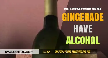 Kombucha and Raw Gingerade: Unveiling the Alcohol Content Mystery