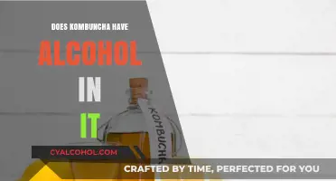 Does Kombucha Contain Alcohol? Unveiling the Truth Behind the Fermented Tea