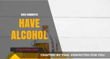 Does Kombucha Contain Alcohol? Uncovering the Truth About Fermented Tea
