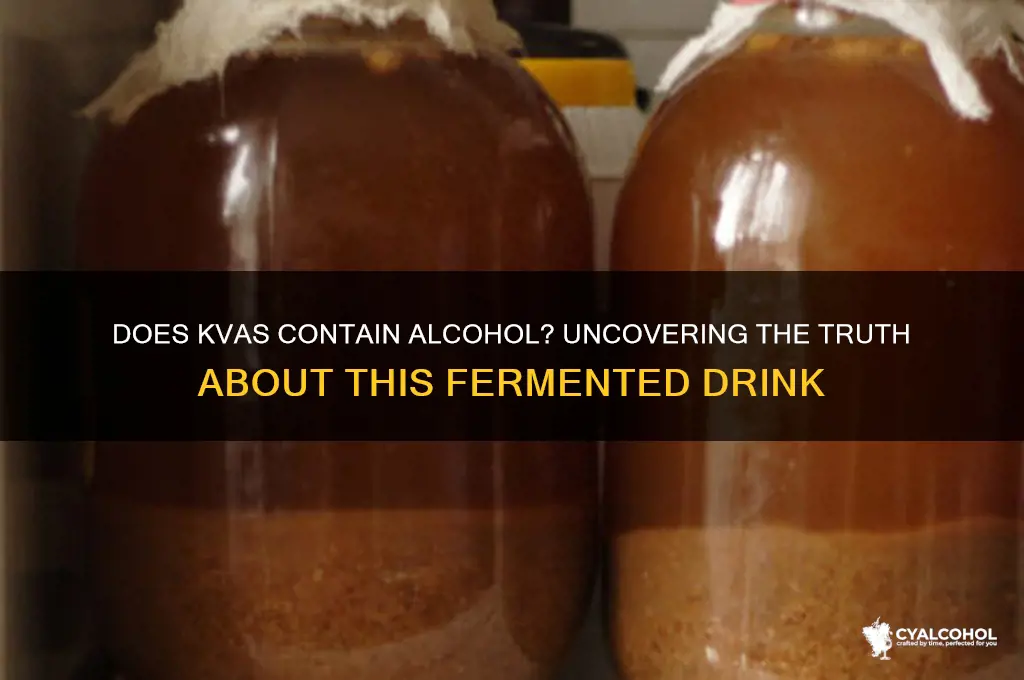 does kvas have alcohol