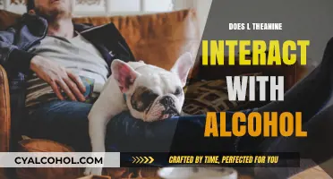 L-Theanine and Alcohol: Potential Interactions and Effects Explained