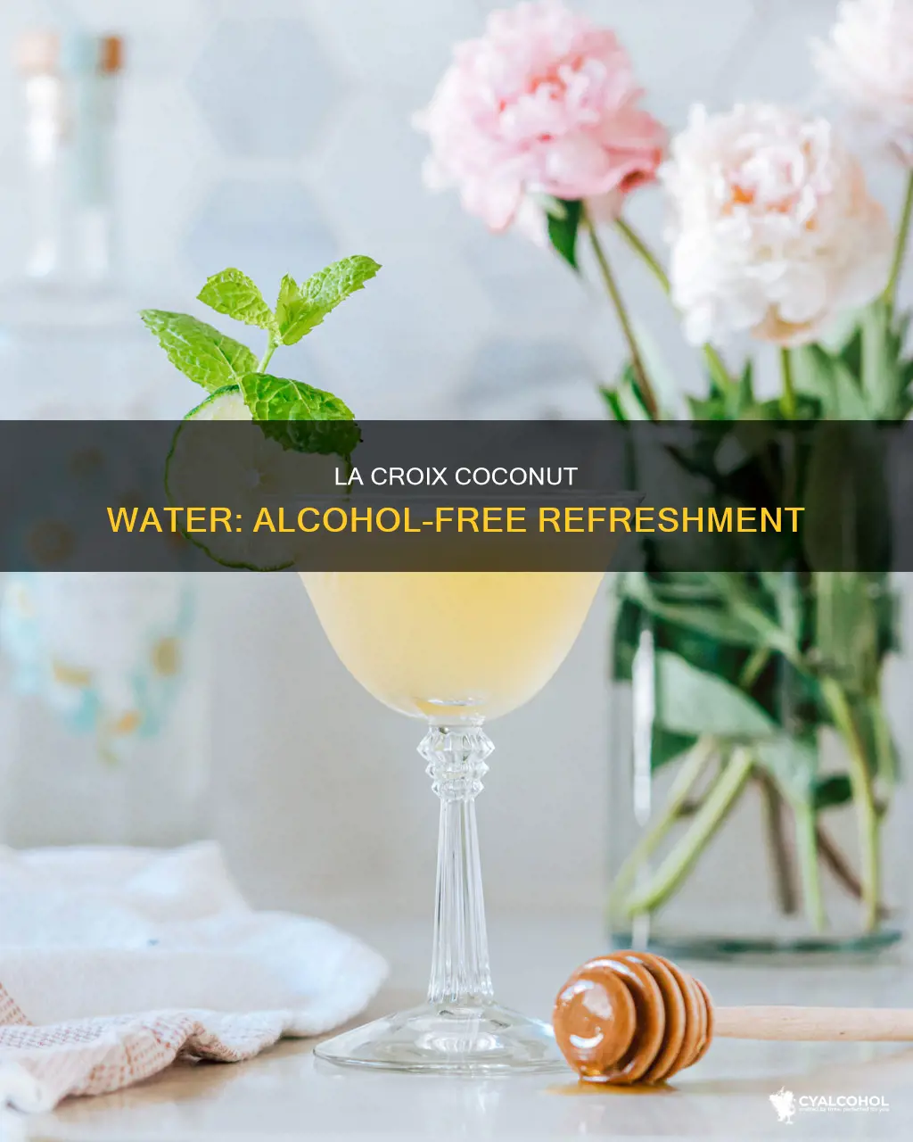 does la croix coconut water have alcohol in it