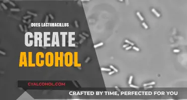 Lactobacillus and Alcohol Production: Unraveling the Fermentation Mystery