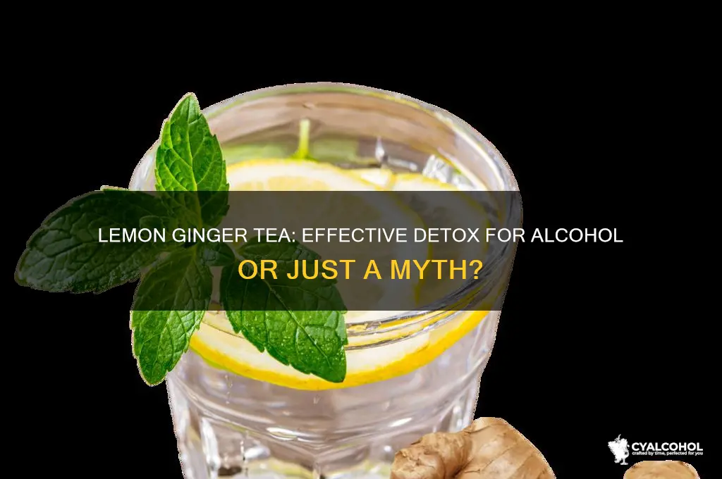 does lemon ginger tea detox alcohol