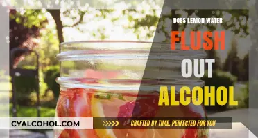 Lemon Water and Alcohol: Does It Really Help Detox Your Body?