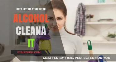 Alcohol as a Cleaner: Does Soaking Items in It Work?