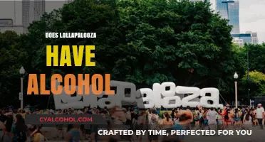 Lollapalooza Alcohol Policy: What You Need to Know Before You Go