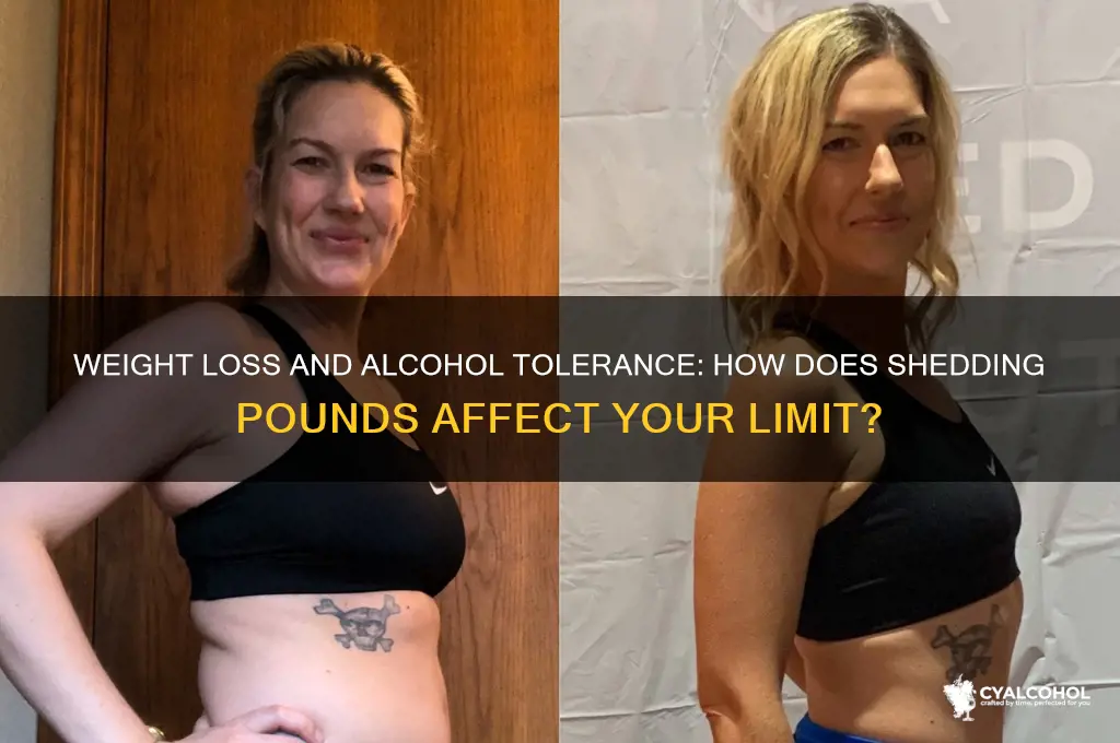 does losing weight decrease alcohol tolerance