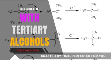 Lucas Test and Tertiary Alcohols: Reaction Insights and Mechanisms