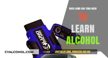E85 Tuning: Does Lund's System Need to Learn Alcohol Content?