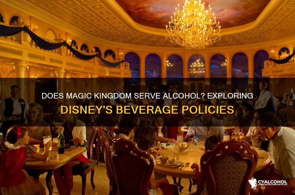 does magic kingdom have alcohol
