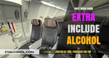 Main Cabin Extra Perks: Does Alcohol Come with Your Seat Upgrade?