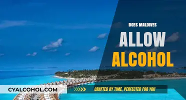 Alcohol in the Maldives: Legal Guidelines and Tourist Regulations Explained