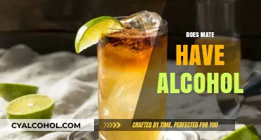 Does Mate Contain Alcohol? Unraveling the Truth About This Popular Drink
