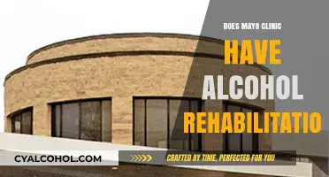 Mayo Clinic Alcohol Rehabilitation: Treatment Options and Support Services