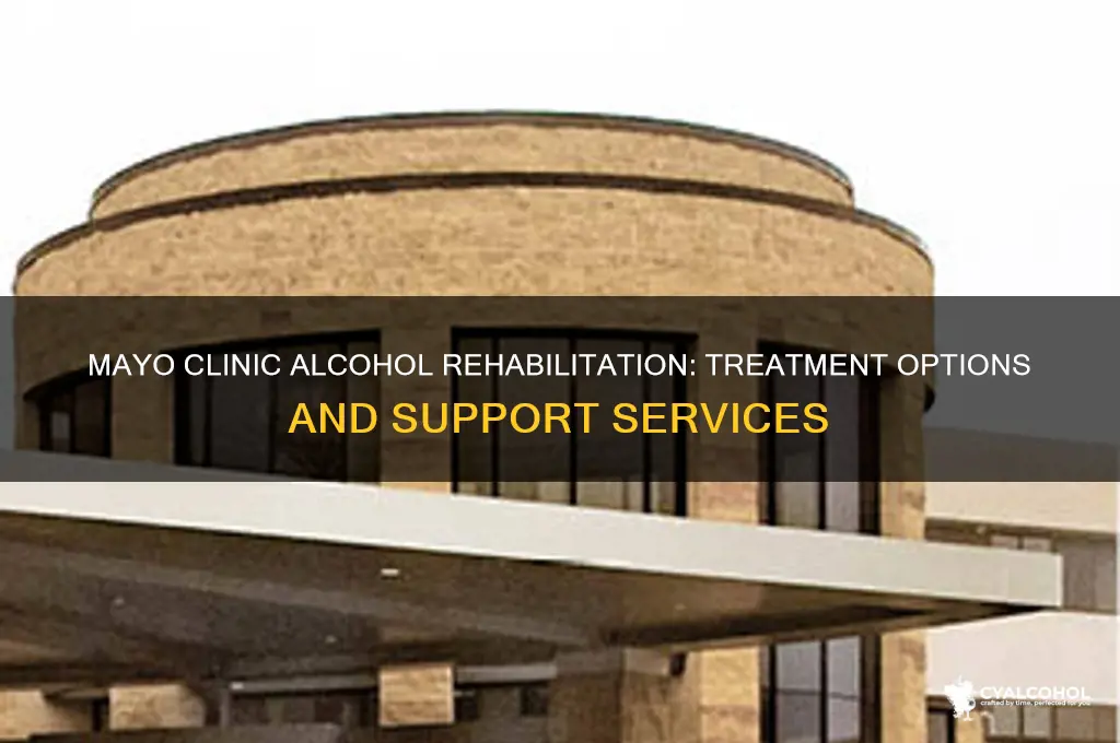 does mayo clinic have alcohol rehabilitation
