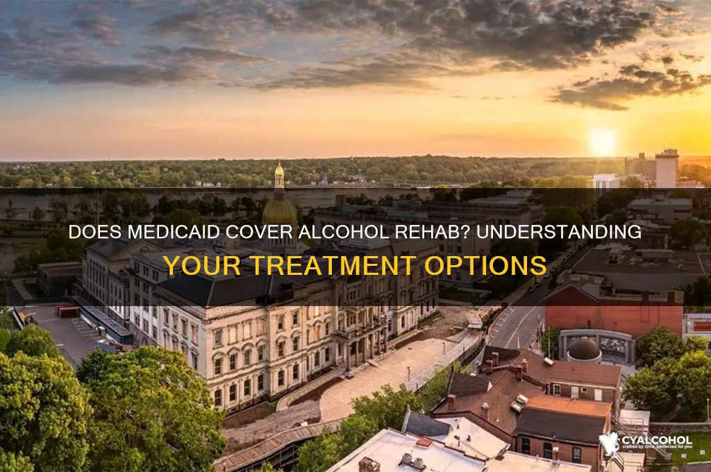 does medicaid pay for alcohol rehab