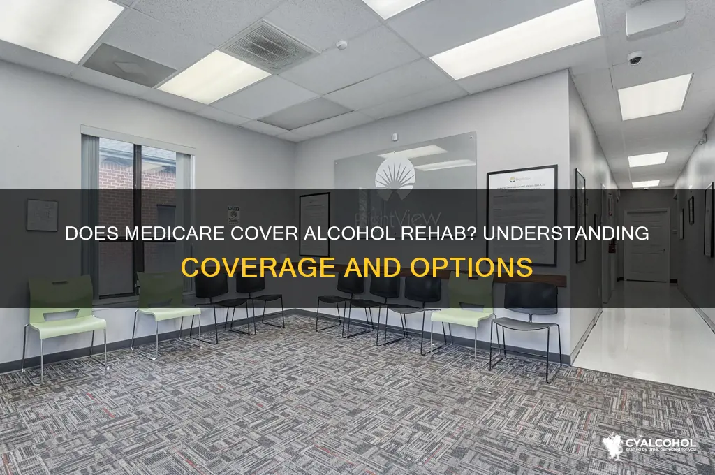 does medicare cover rehab for alcohol