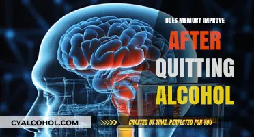 Quitting Alcohol: How Sobriety Enhances Memory and Cognitive Function