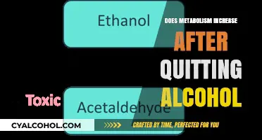Boosting Metabolism: How Quitting Alcohol Can Transform Your Body's Efficiency