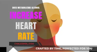 Alcohol Metabolism and Heart Rate: Uncovering the Cardiovascular Connection