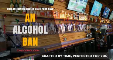 Alcohol Ban at Metamora-Hadley State Park: What's the Deal?