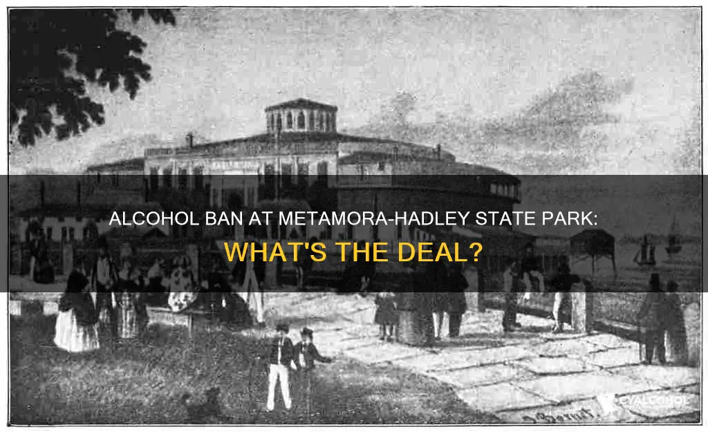 does metamora hadley state park have an alcohol ban