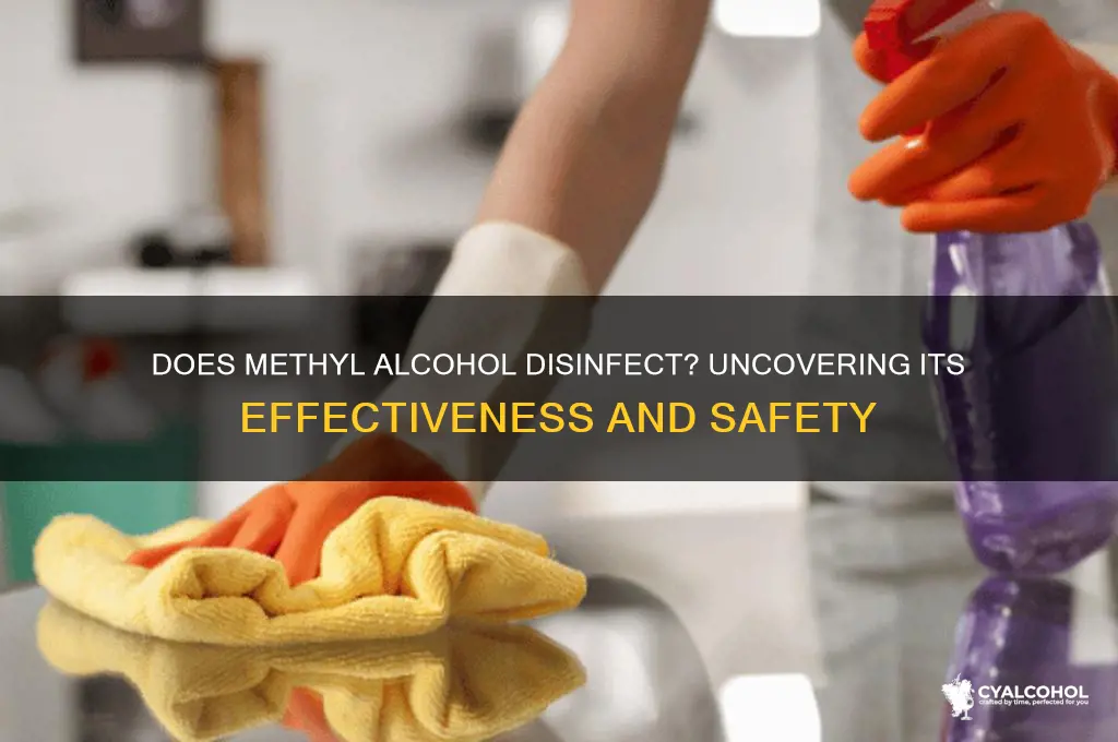 does methyl alcohol disinfect