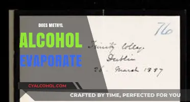 Does Methyl Alcohol Evaporate? Understanding Its Volatility and Safety