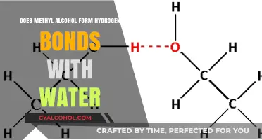 Methyl Alcohol and Water: Exploring Hydrogen Bond Formation