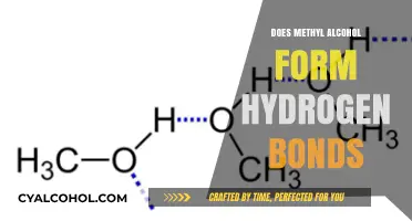 Exploring Methyl Alcohol's Hydrogen Bonding Capabilities: Chemistry Unveiled