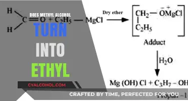 Does Methyl Alcohol Convert to Ethyl Alcohol? Exploring the Chemistry