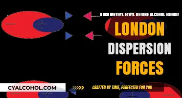 Methyl Ethyl Ketone Alcohol: London Dispersion Forces?
