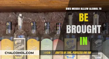 Can You Bring Alcohol into Mexico? Rules and Regulations Explained