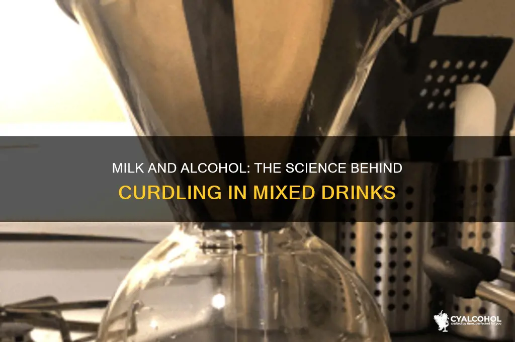 does milk curdle in alcohol