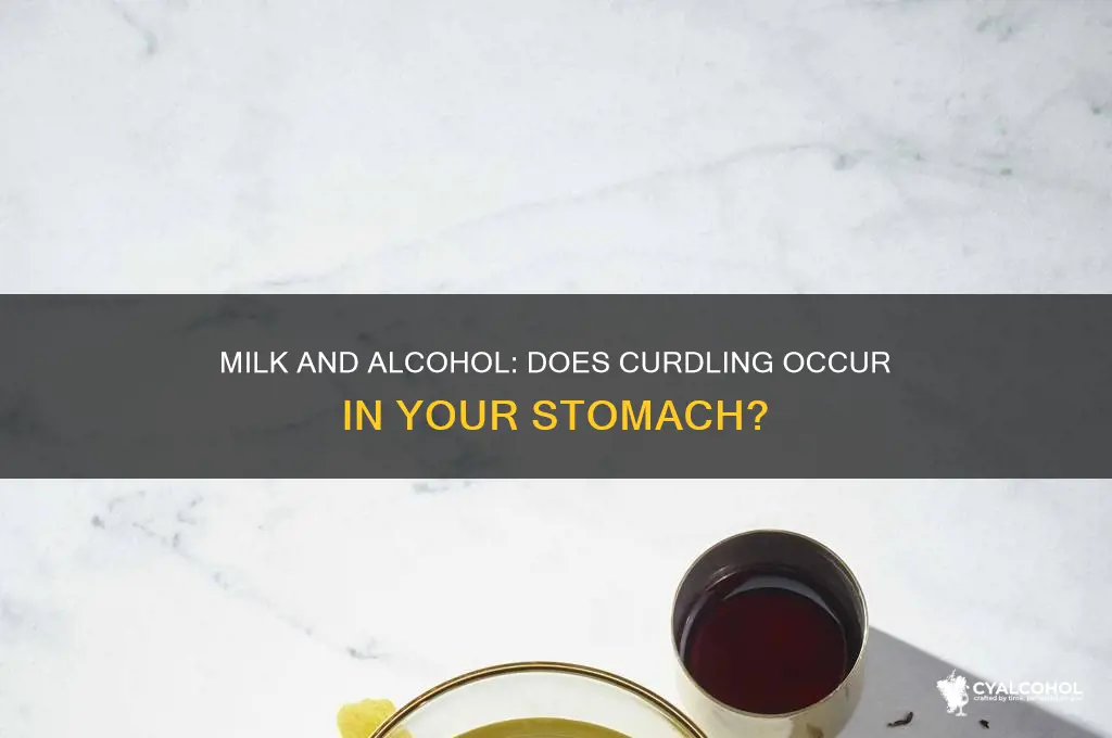 does milk curdle in your stomach after alcohol