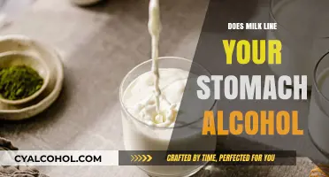 Milk Before Alcohol: Does It Really Line Your Stomach?