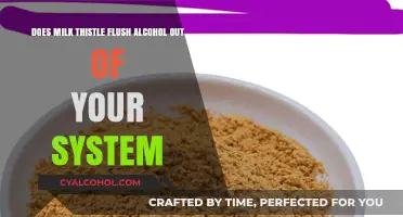 How Milk Thistle Helps Detox Alcohol from Your Body