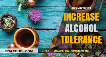 Milk Thistle and Alcohol Tolerance: Fact or Fiction?