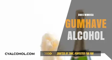 Does Mimosa Gum Contain Alcohol? Uncovering the Truth Behind the Myth