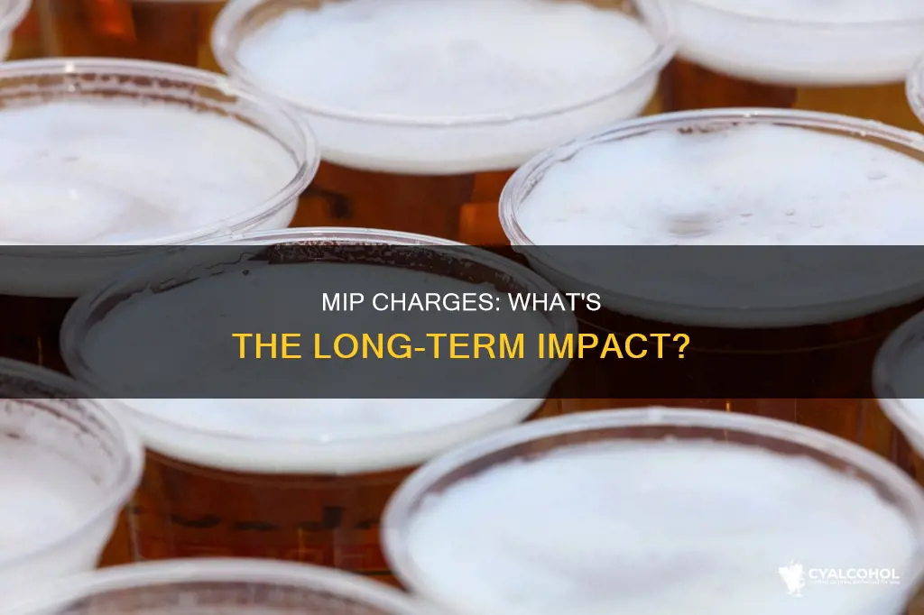 does minor in possession of alcohol stay on your record