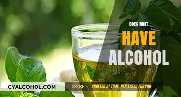 Does Mint Extract Contain Alcohol? Uncovering the Truth About Mint Products