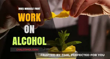 Miracle Fruit and Alcohol: Does It Sweeten Your Drinks?