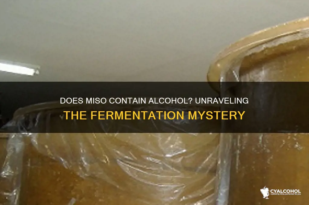 does miso have alcohol