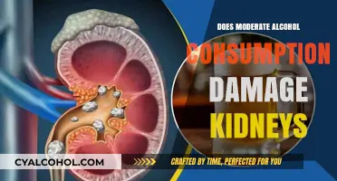Moderate Alcohol Consumption: Uncovering Its Impact on Kidney Health