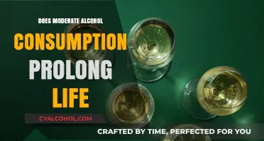 Moderate Drinking: Does It Extend Lifespan or Just a Myth?