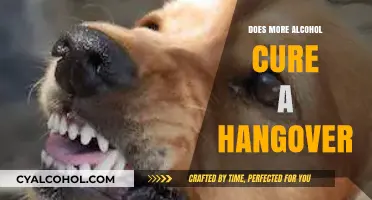 Hair of the Dog: Does More Alcohol Really Cure Hangovers?