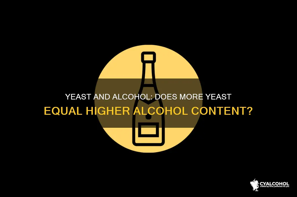 does more yeast mean more alcohol