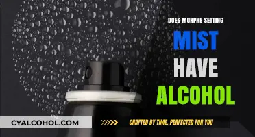 Does Morphe Setting Mist Contain Alcohol? Ingredients Breakdown